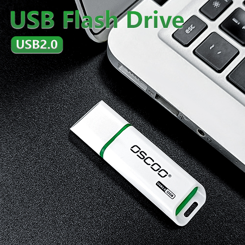 R009 Portable USB2.0 Flash Drive